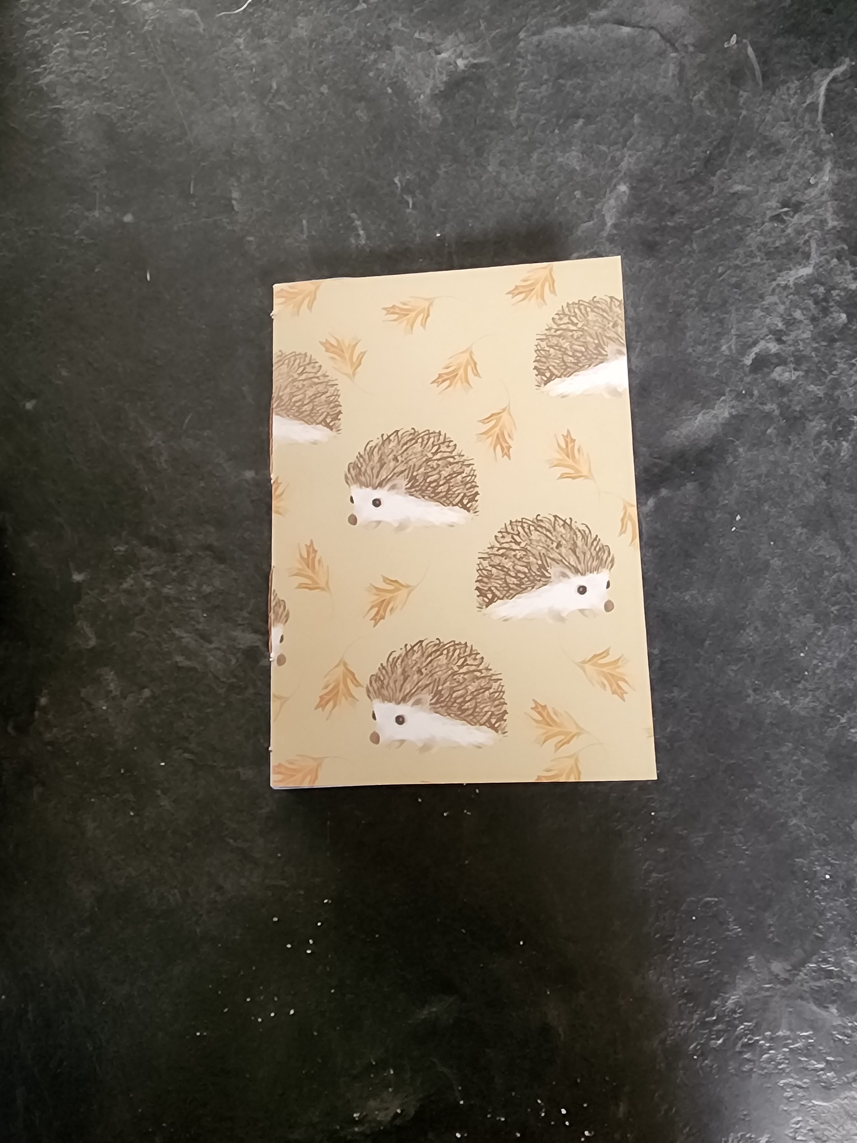A6 French Link Journal Hedgehog