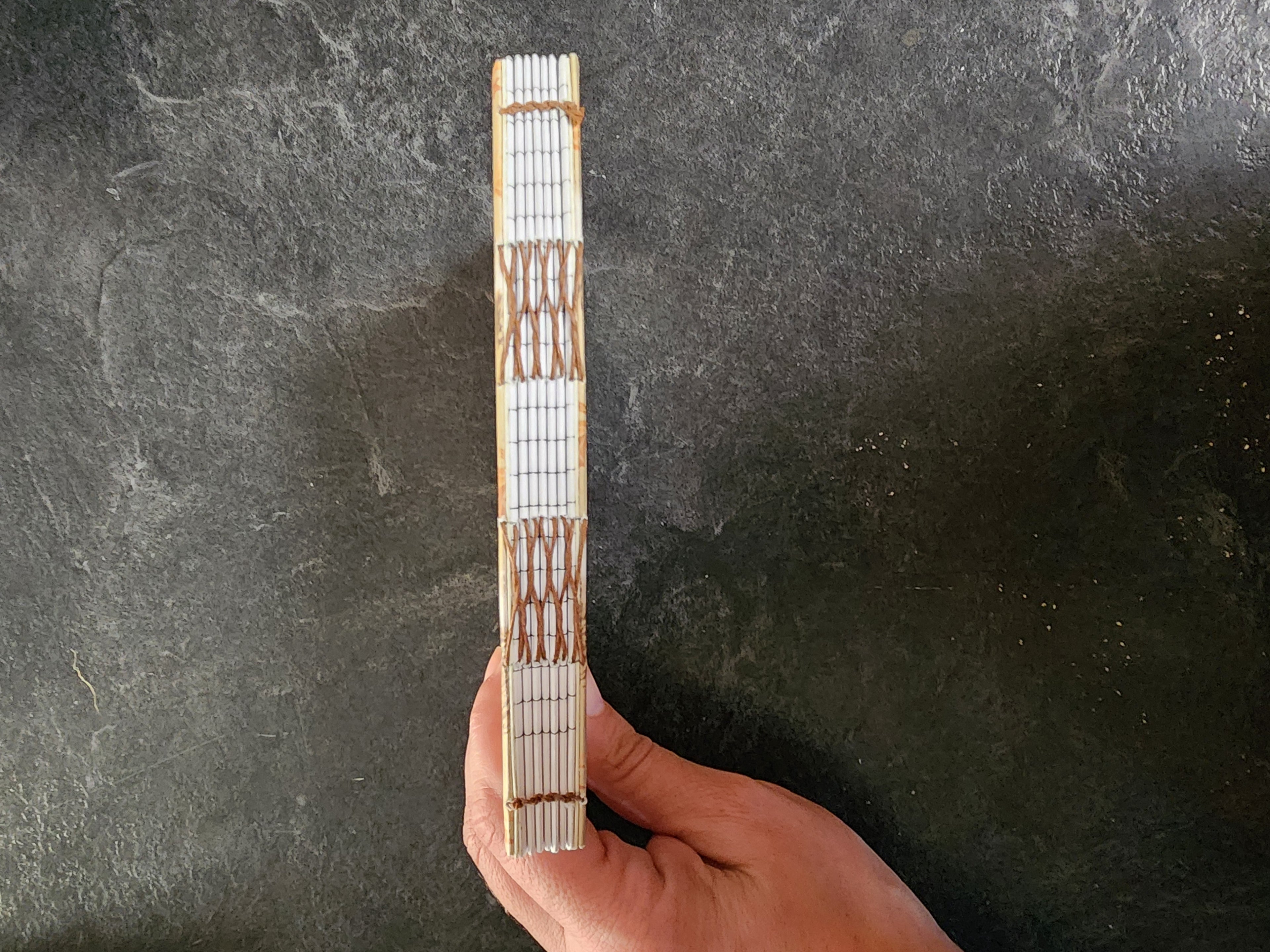 A6 French Link Journal Hedgehog