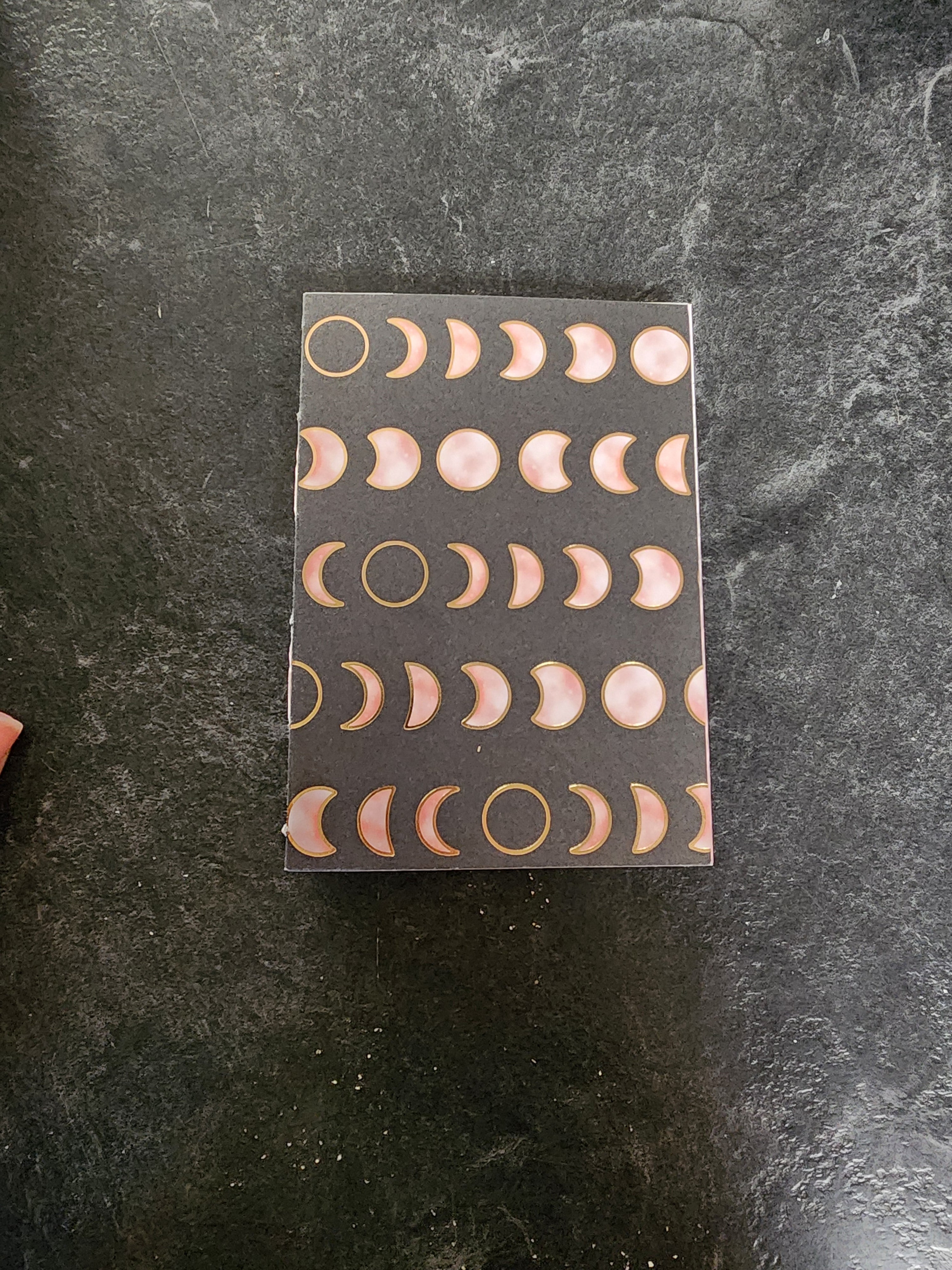 A6 French Link Journal Pink Moons