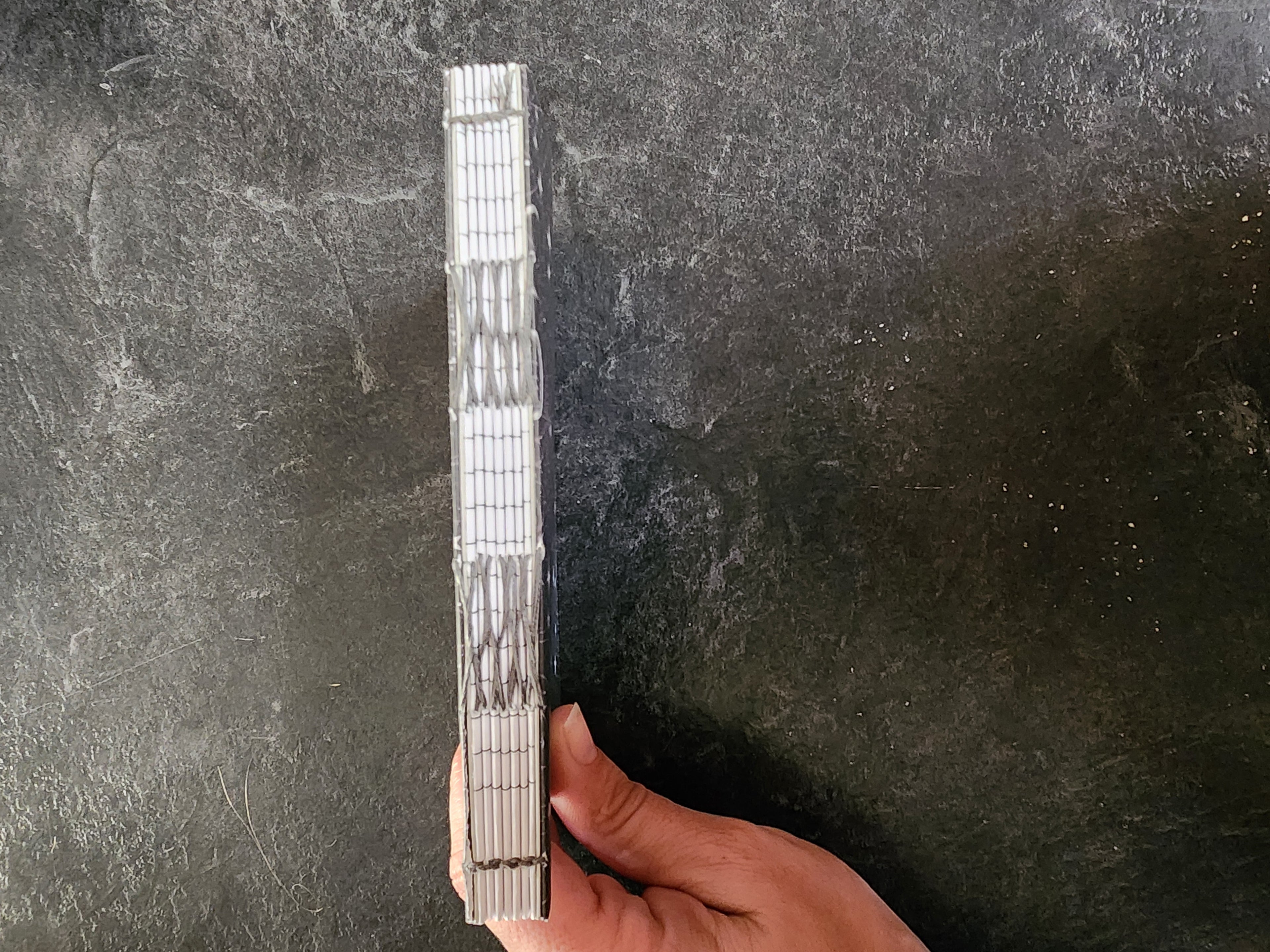 A6 French Link Journal Spider Webs