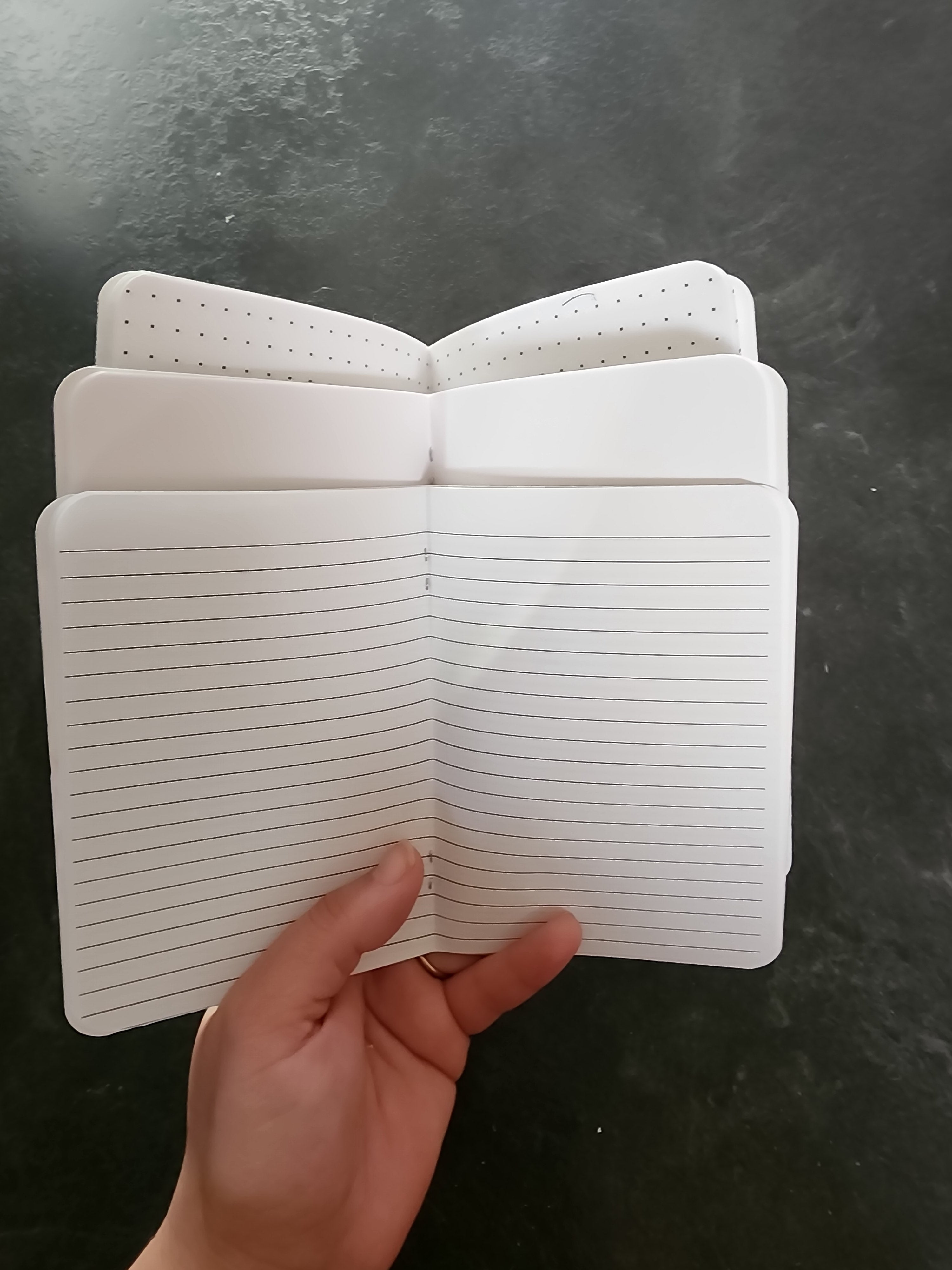 Set of Three 4x5 Notebooks Crystals and Moths