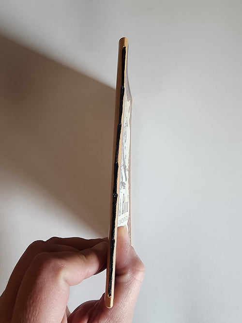 4x6 Witchy Jouranl Ravens Blood