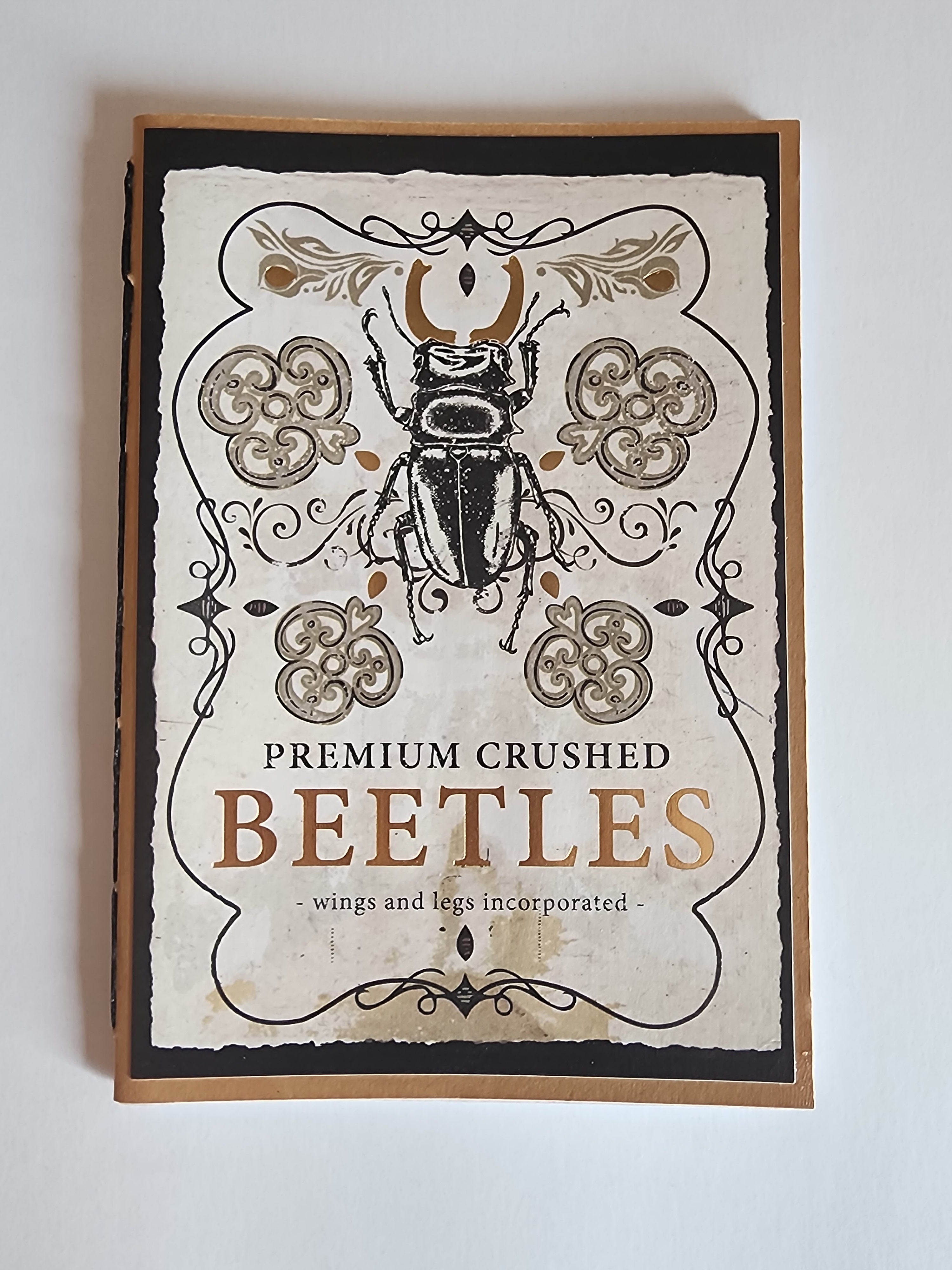 4x6 Witchy Journal Crused Beetles