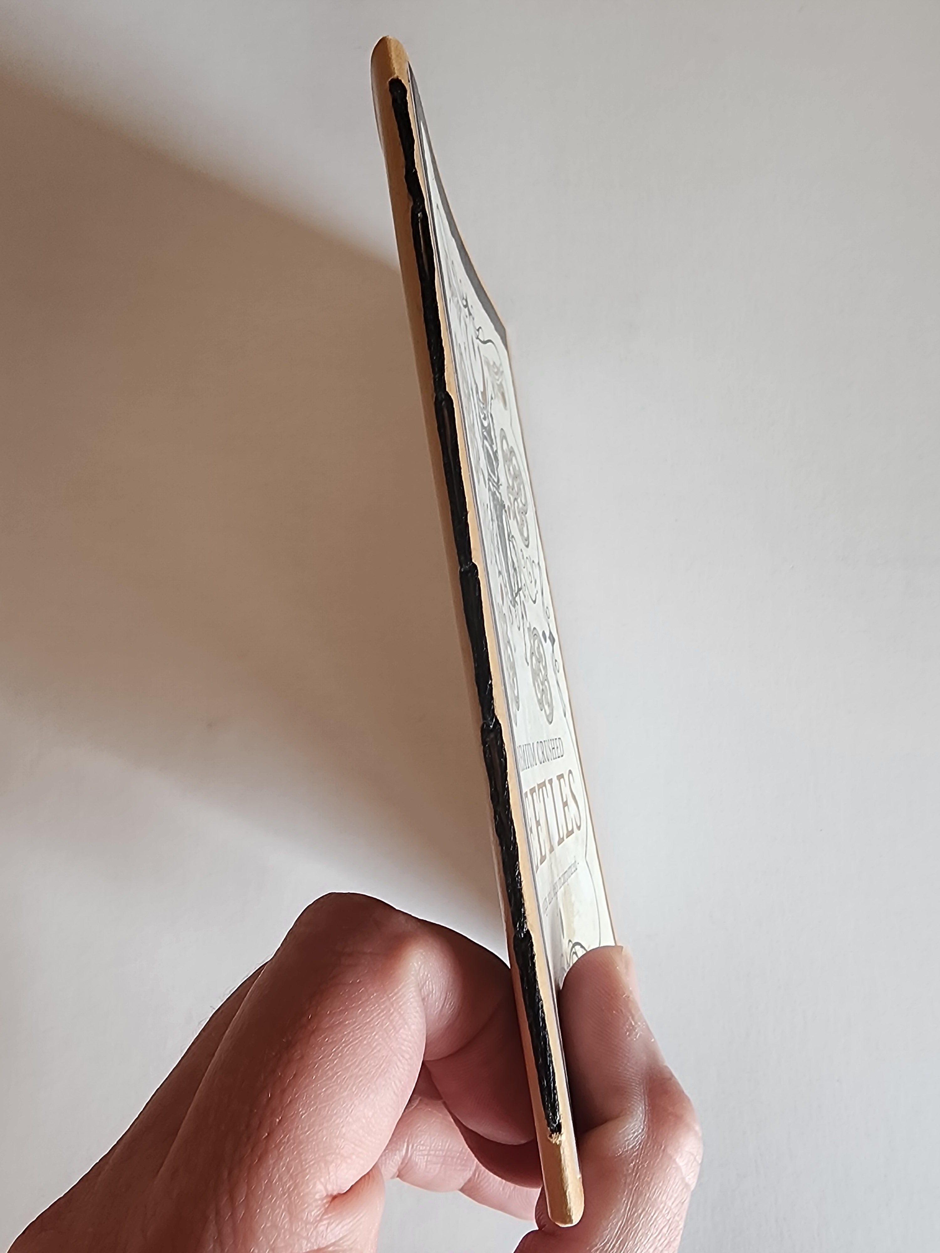 4x6 Witchy Journal Crused Beetles