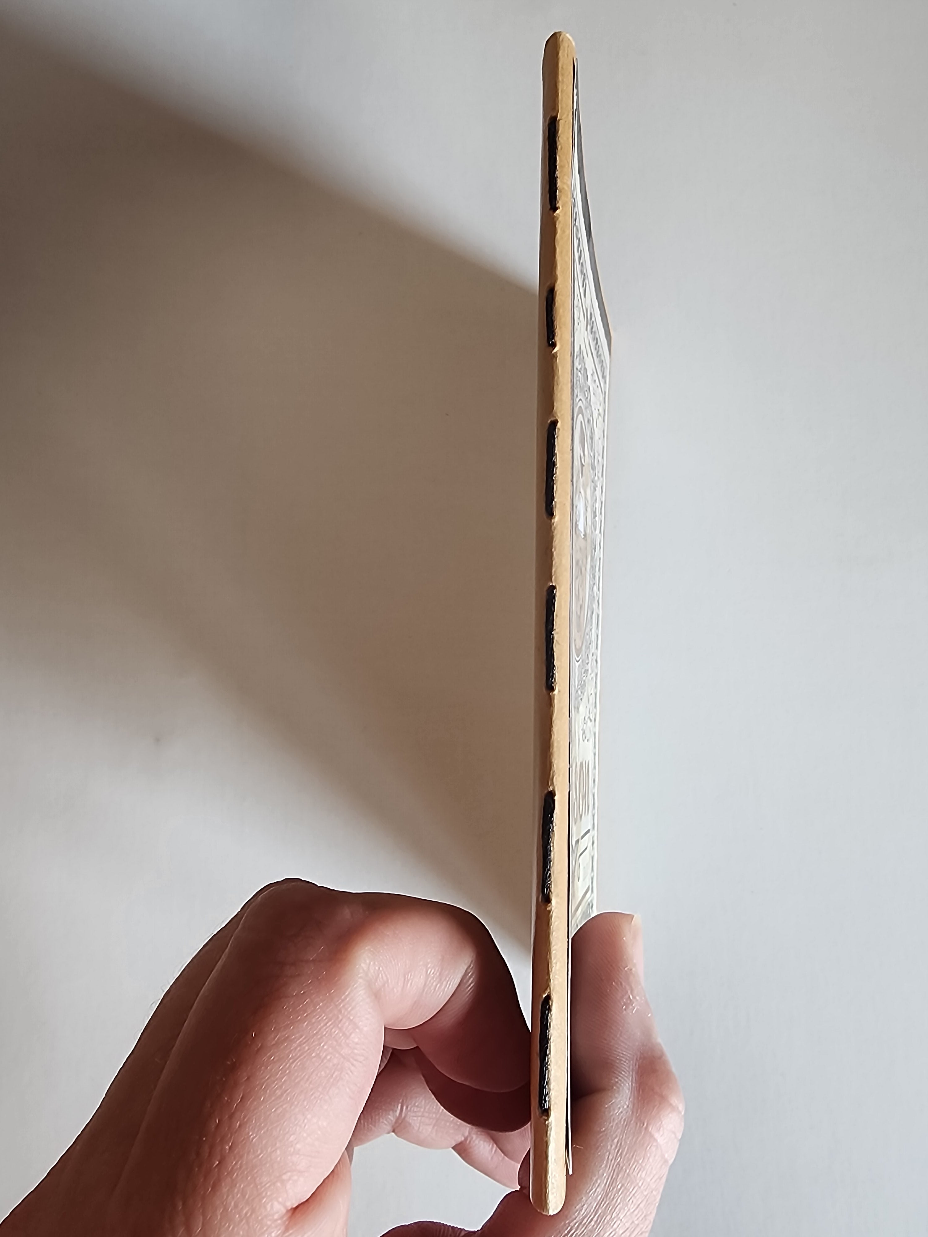 4x6 Witchy Journal Poison