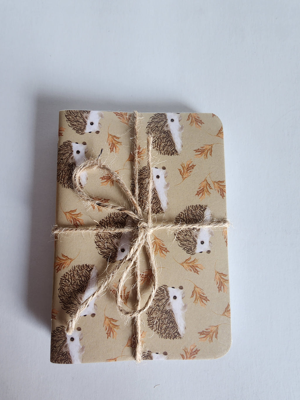 Set of 3 5x7 Softcover Notebooks Hedgehog, Orange and Green