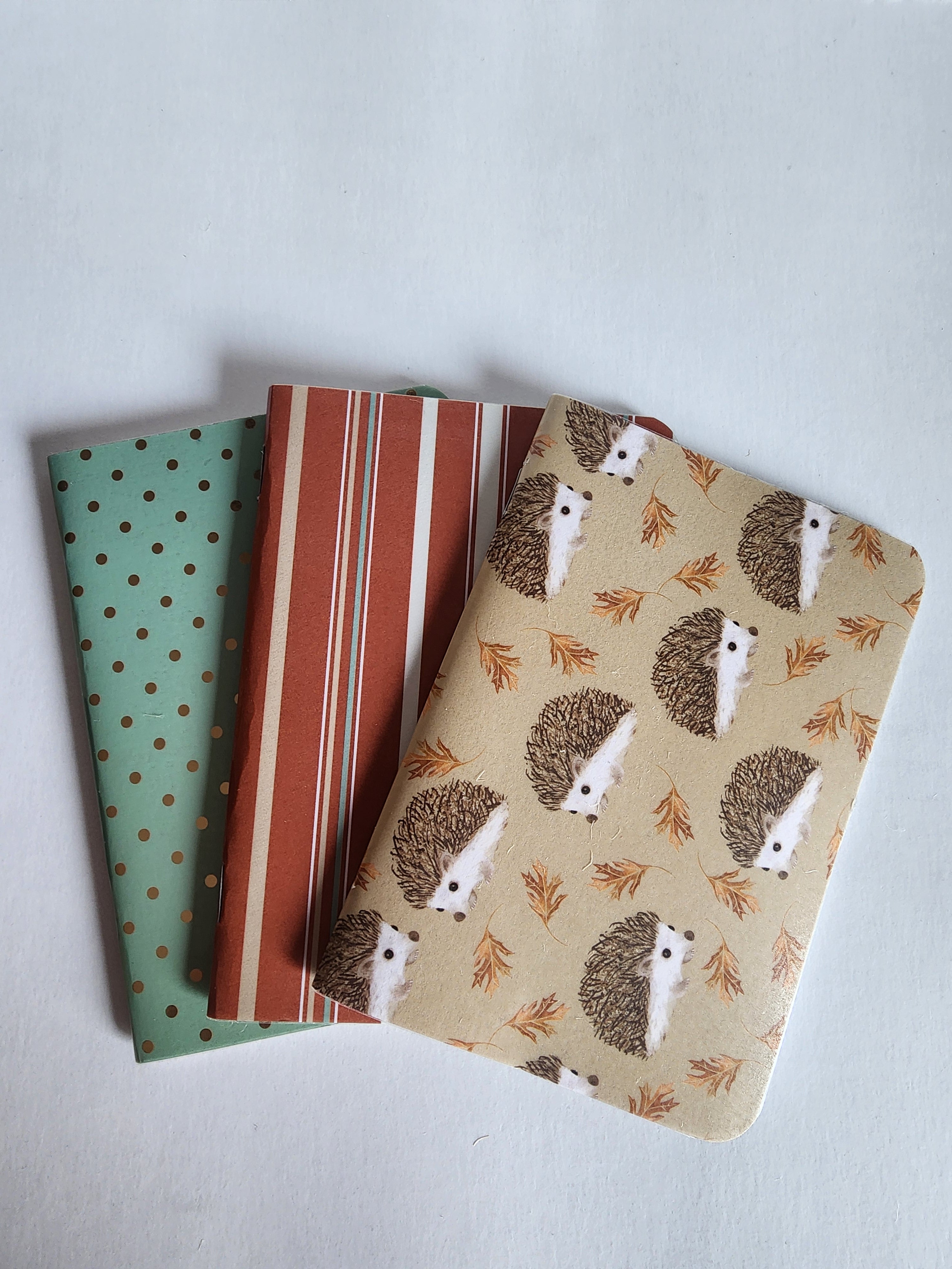 Set of 3 5x7 Softcover Notebooks Hedgehog, Orange and Green